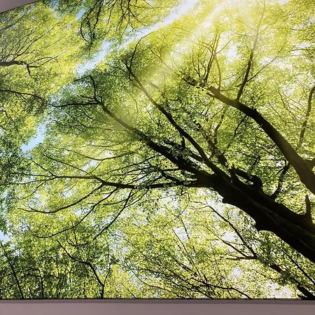 Lägenhet Meeresjuwel-mairin Dahme (Schleswig-Holstein)